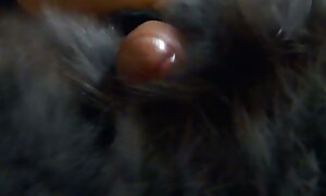彼女が値する罰に苦しんでいる肛門の雌犬。 完全 無料 フェラ